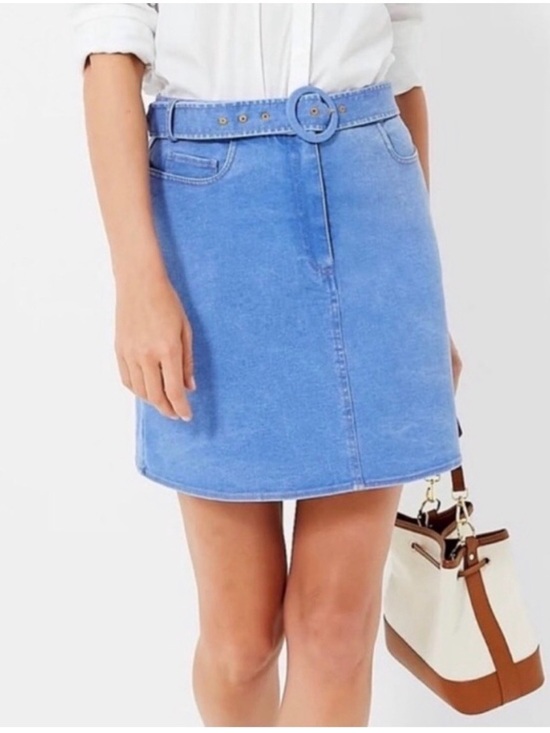 Tuckernuck Dresses & Skirts - TUCKERNUCK Carver Belted Mini Skirt XL